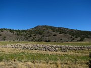 12-ottobre-carson-city--bodie-mono-lake-197