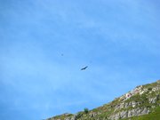 IMG_0637