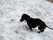 IMG_9241