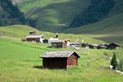 IMG_2104