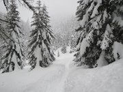 campiglio-rifugio-nambino-058