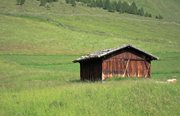 IMG_2105