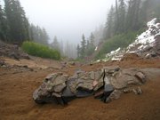 10-ottobre-crater-lake-lava-basin-039