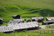 IMG_2114