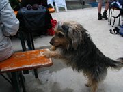 IMG_9209