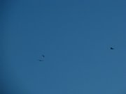 IMG_5768