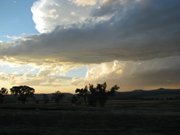 IMG_3998