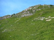 IMG_0636
