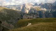 settimana-7-13-settembre-val-gardena-077