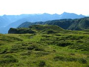 IMG_0605