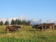 brenta-e-vezzena-17-18-agosto-13-005