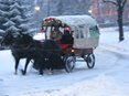 Carrozza nel Parco