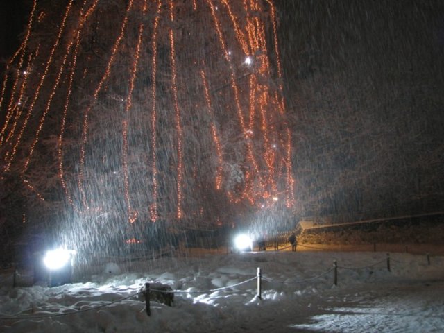 Albero di Natale